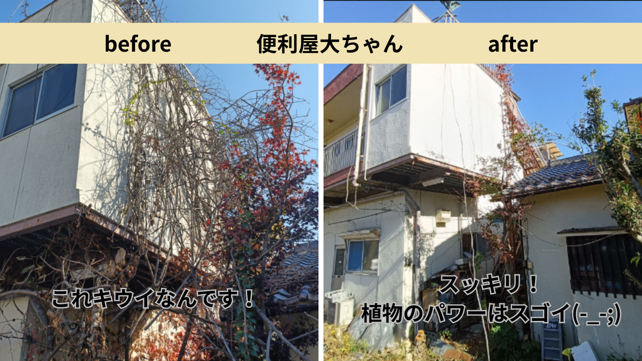 作業のビフォーアフター②
