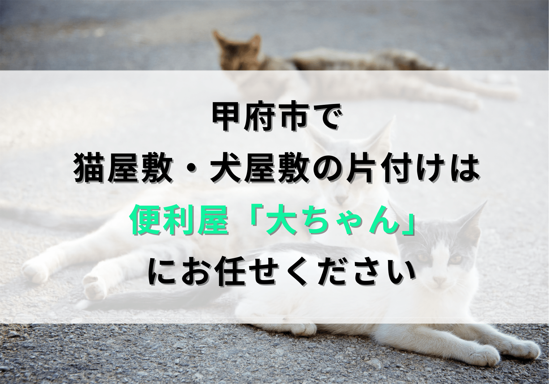 甲府市で猫屋敷・犬屋敷の片付けは便利屋「大ちゃん」におまかせください